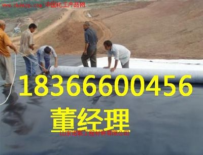 河北玻纤格栅厂家诺联 高清产品图与样板图赏析——中国化工产品网聚焦玻璃纤维